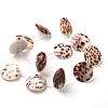 Tiger Cowrie Shell Beads Strands BSHE-L037-11-3