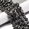Natural Larvikite Beads Strands G-G146-A13-01-2