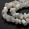 Natural Rainbow Moonstone Beads Strands X-G-A200-02-5