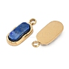 Natural Lapis Lazuli Rectangle Charms STAS-I325-141A-G-2