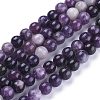 Natural Lepidolite/Purple Mica Stone Beads Strands G-K415-10mm-2