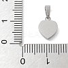 Ion Plating(IP) 304 Stainless Steel Micro Pave Cubic Zirconia Pendants STAS-Z107-02P-04-3