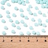Opaque Baking Paint Glass Beads DGLA-T004-03P-4