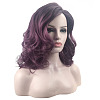 Fluffy Curly Ombre Ladies Wigs OHAR-L010-048-3