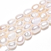 Natural Cultured Freshwater Pearl Beads Strands PEAR-N014-05F-01-2