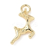Brass Charms ZIRC-I356-04G-04-1