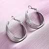 Brass Twist Hoop Earrings EJEW-R025-30P-1