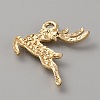 Alloy with Crystal Rhinestone Pendants LS-FIND-WH0126-176A-G-2