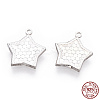 925 Sterling Silver Charms STER-T006-17S-1