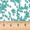 Opaque Colours Glass Seed Beads SEED-S042-09A-04-4