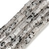 Natural Seame Jasper Beads Strands G-P600-B11-01-2