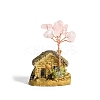 Resin Display Decorations DJEW-PW0009-002B-03-1