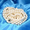 Round Shell Pearl Bead Strands X-BSHE-L011-8mm-A013A-2