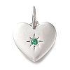 925 Sterling Silver Micro Pave Clear Cubic Zirconia Charms STER-V001-01P-05-1