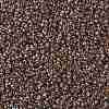 MIYUKI Round Rocailles Beads SEED-X0055-RR4501-3