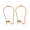 316 Surgical Stainless Steel Hoop Earring Findings LS-X-STAS-A056-12G-C-1