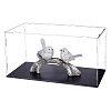 Acrylic Display Boxes CON-WH0089-163B-1
