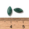 Natural Green Spot Jasper Cabochons G-F772-01B-20-3