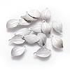 Non-Tarnish 304 Stainless Steel Charms STAS-F222-010-1