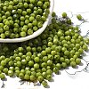 Picasso Baking Paint Glass Seed Beads SEED-A032-02A-07-1