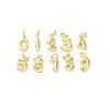 Brass Pendants KK-L227-012G-1