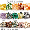 750Pcs 15 Styles Natural & Synthetic Gemstone Beads G-NB0003-88-2