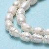 Natural Cultured Freshwater Pearl Beads Strands X-PEAR-J006-13A-4