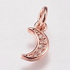 Brass Micro Pave Cubic Zirconia Charms ZIRC-E147-59RG-1