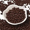 6/0 Opaque Baking Paint Glass Seed Beads X1-SEED-M012-02A-14-2