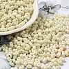 Baking Paint Glass Seed Beads SEED-K009-01A-22-1