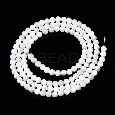 Natural Trochid Shell/Trochus Shell Beads Strands SSHEL-S266-023A-01-1