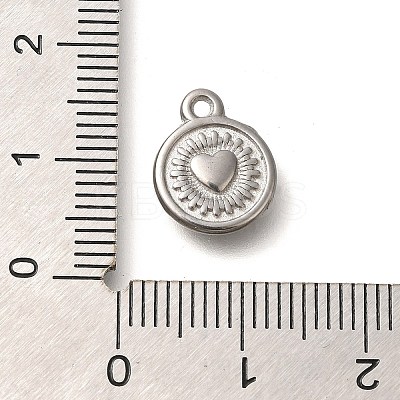 Anti-Tarnish 304 Stainless Steel Charms STAS-I321-05P-1
