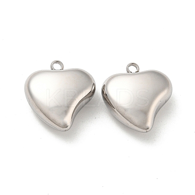 Non-Tarnish 304 Stainless Steel Pendants STAS-L022-197P-1