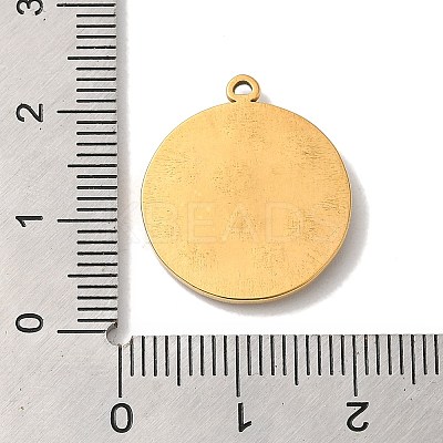 304 Stainless Steel Rhinestone Pendants STAS-Q309-14G-1