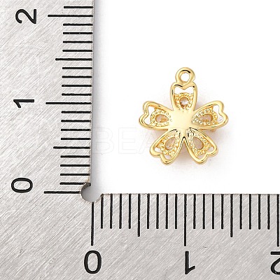 Brass Micro Pave Cubic Zirconia Charms LS-KK-D371-04B-G-1