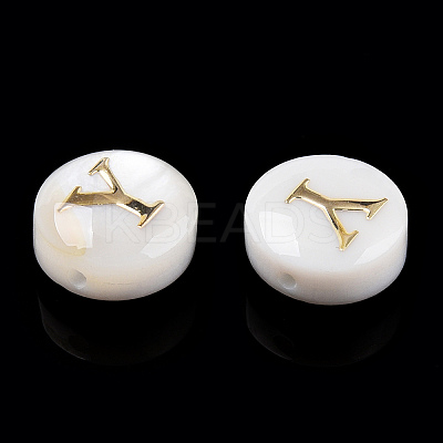 Natural Freshwater Shell Beads SHEL-N036-01Y-1