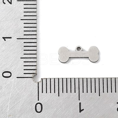 201 Stainless Steel Charms LS-STAS-S174-13P-1
