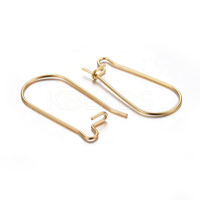304 Stainless Steel Hoop Earrings X-STAS-P223-01G-01-1