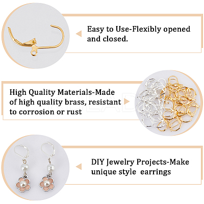 200Pcs 2 Color Brass Leverback Earring Findings KK-SP0001-06-1