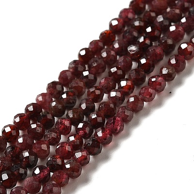 Natural Garnet Beads Strands X-G-I341-09B-1