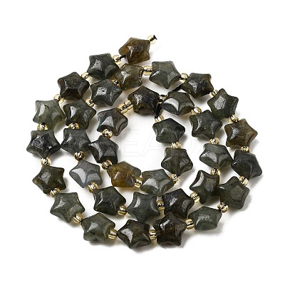 Natural Labradorite Beads Strands G-Z080-A33-10mm-1