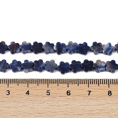 Natural Sodalite Beads Strands G-B138-C12-01-1