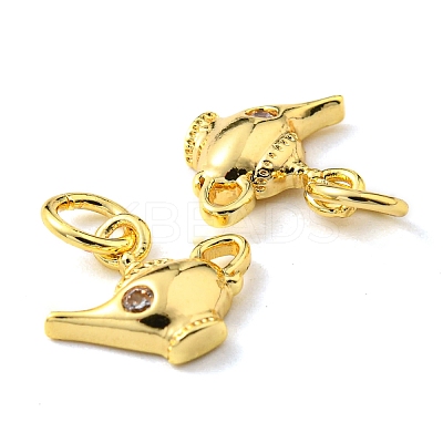Rack Plating Brass Micro Pave Cubic Zirconia Charms KK-D036-06G-1