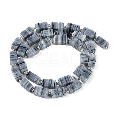 Handmade Lampwork Beads Strands LAMP-Q037-01A-08-1