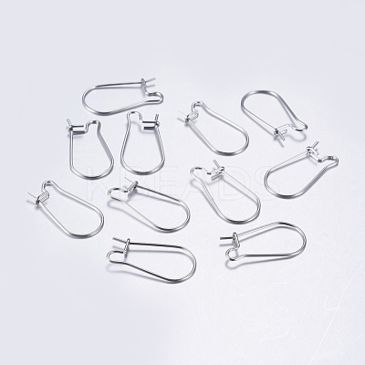 Tarnish Resistant 304 Stainless Steel Hoop Earrings STAS-L198-15B-P-1