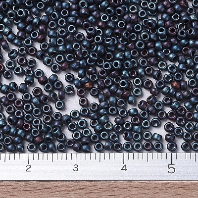 MIYUKI Round Rocailles Beads X-SEED-G007-RR2009-1