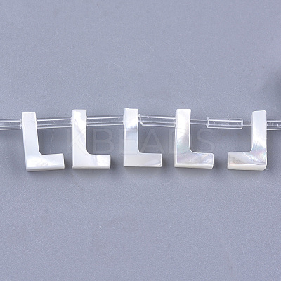 Natural Sea Shell Beads SHEL-T012-60L-1