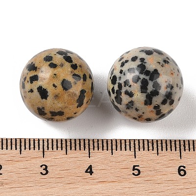 Natural Dalmatian Jasper No Hole Sphere Beads G-K353-04D-16-1
