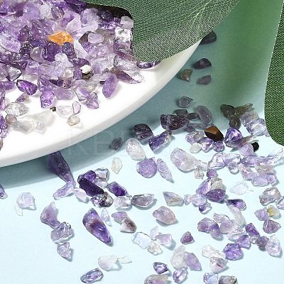 Natural Amethyst Chip Beads X-G-L453-06-1
