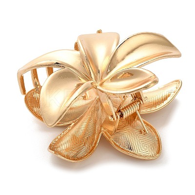 Alloy Claw Hair Clips AJEW-A061-06C-G-1